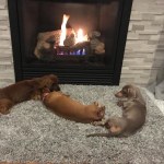 View Gallery Image #14