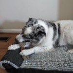 View Gallery Image #1