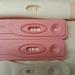 View Gallery Image #8