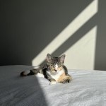 View Gallery Image #15