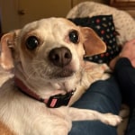 View Gallery Image #1