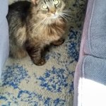 View Gallery Image #3