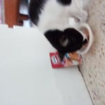 View Gallery Image #5