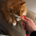 View Gallery Image #7