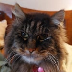 View Gallery Image #4