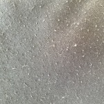 View Gallery Image #12