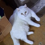 View Gallery Image #9