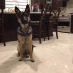 View Gallery Image #10