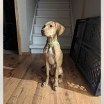 View Gallery Image #4