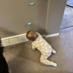 View Gallery Image #1