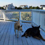 View Gallery Image #3