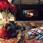 View Gallery Image #6