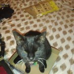 View Gallery Image #9