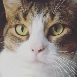 View Gallery Image #7