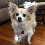 View Gallery Image #2