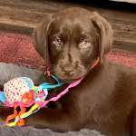 View Gallery Image #11