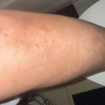 View Gallery Image #2