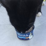 View Gallery Image #11