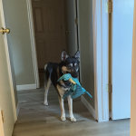 View Gallery Image #4