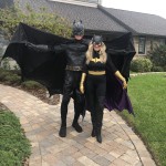 Adult Batgirl Deluxe Costume - Batman