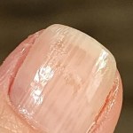 View Gallery Image #5