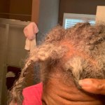 View Gallery Image #15