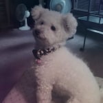 View Gallery Image #13