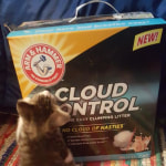 View Gallery Image #5