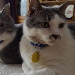 View Gallery Image #1