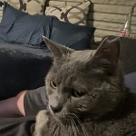 View Gallery Image #12