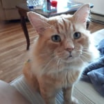 View Gallery Image #11