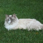 View Gallery Image #4