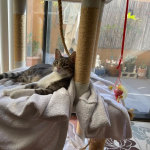 View Gallery Image #8