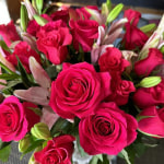 ♡Rose rose♡ Sweetness Rose - 25st. - Ramirez Wholesale Flowers Inc