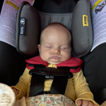 View Gallery Image #10