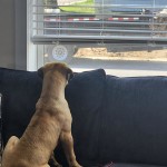 View Gallery Image #2