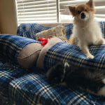 View Gallery Image #5