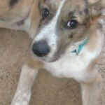 View Gallery Image #10