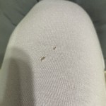 View Gallery Image #11