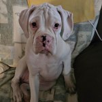 View Gallery Image #5