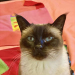 View Gallery Image #4