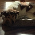 View Gallery Image #12