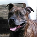 View Gallery Image #7