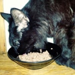 View Gallery Image #15