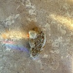 View Gallery Image #5