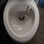 View Gallery Image #7