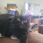 View Gallery Image #8