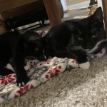 View Gallery Image #1