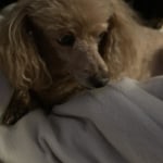 View Gallery Image #12