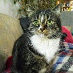 View Gallery Image #1